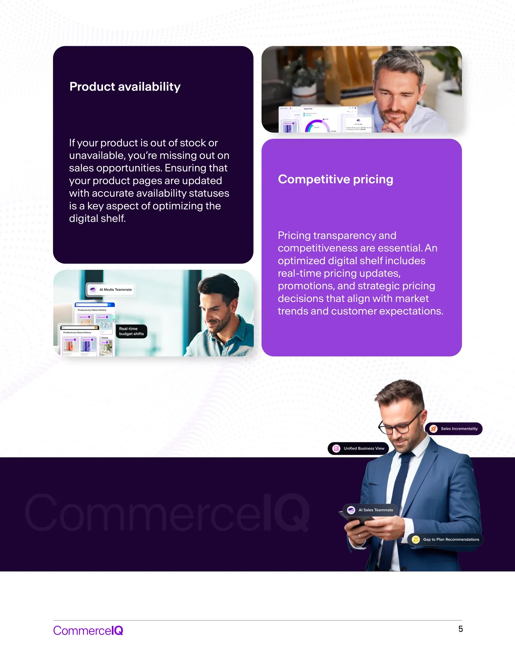 CommerceIQ: Chapter 2 ebook
